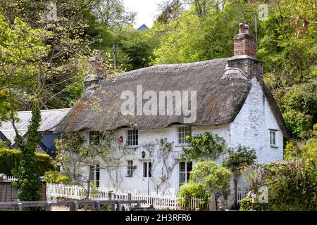 HELSTON, CORNWALL, Royaume-Uni - 14 MAI : chalet au toit de chaume à Helston, Cornwall, le 14 mai 2021 Banque D'Images