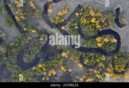 Une rivière sinueuse traverse une plaine marécageuse et une forêt, vue aérienne. Banque D'Images