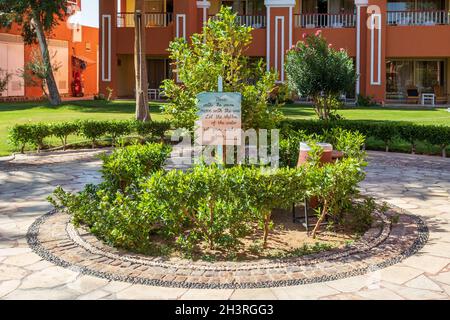 Hurghada, Egypte - septembre 25 2021: Jardin égyptien avec des plantes dans l'hôtel Caribbean World Resort Soma Bay Banque D'Images