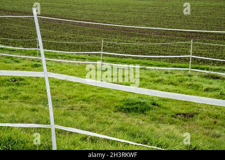 Clôtures électriques pour chevaux; Wesertal; Gewissenruh; Weser Uplands; Weserbergland;Hesse, Allemagne Banque D'Images