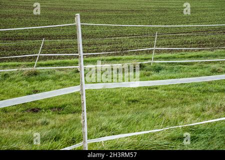 Clôtures électriques pour chevaux; Wesertal; Gewissenruh; Weser Uplands; Weserbergland;Hesse, Allemagne Banque D'Images