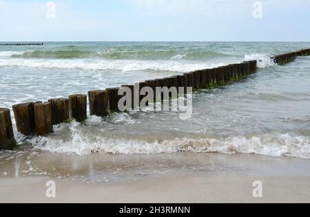 Brise-lames, groynes et plage de la mer Baltique - Fischland, Darß, Zingst, Allemagne Banque D'Images