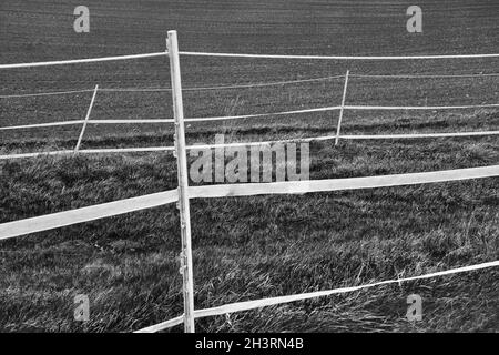 Clôtures électriques pour chevaux; Wesertal; Gewissenruh; Weser Uplands; Weserbergland;Hesse, Allemagne Banque D'Images