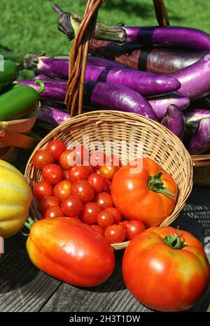 Récolte de légumes d'été frais concept d'aliments biologiques frais Banque D'Images