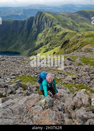 Une rancheuse femelle se brouille sur des rochers près du sommet de Cadair Idris, parc national de Snowdonia, pays de Galles, Royaume-Uni Banque D'Images