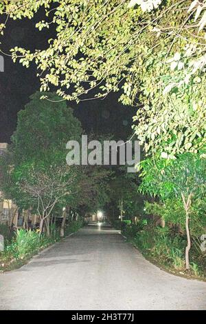 CHEMIN ENTOURÉ D'ARBRES DANS LA PHOTOGRAPHIE DE NUIT EN MILIEU DE NUIT Banque D'Images