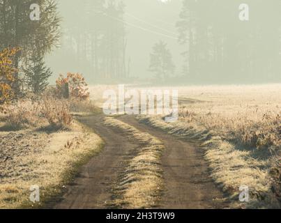 Matin givré brumeux dans la prairie.Une route sinueuse en terre s'écoule vers la forêt.Au loin, vous pouvez voir une forêt enveloppée de brouillard. Banque D'Images