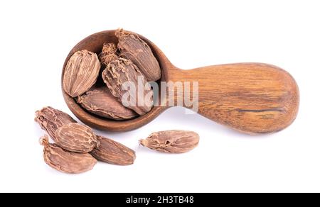 Tas de gousses de cardamome noires dans une cuillère en bois, isolées sur fond blanc.Graines de cardamon noir.Masque. Banque D'Images