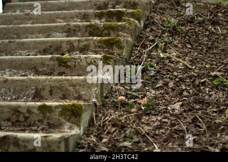 Étapes en mousse.Détails de l'architecture abandonnée.L'escalier est surcultivé avec de l'herbe. Banque D'Images