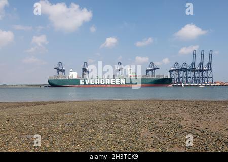 Evergreen a toujours donné un navire à conteneurs qui a bloqué le canal de Suez en mars 2021.Felixstowe Docks, Suffolk, 4 août 2021 Banque D'Images