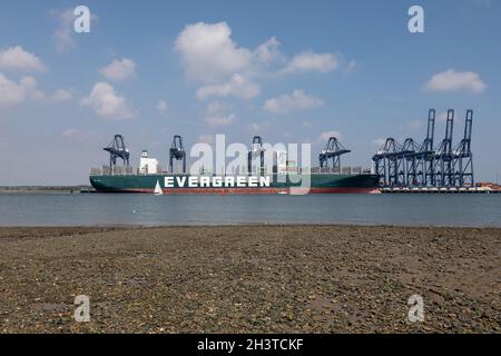 Evergreen a toujours donné un navire à conteneurs qui a bloqué le canal de Suez en mars 2021.Felixstowe Docks, Suffolk, 4 août 2021 Banque D'Images