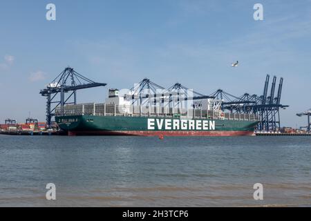 Evergreen a toujours donné un navire à conteneurs qui a bloqué le canal de Suez en mars 2021.Felixstowe Docks, Suffolk, 4 août 2021 Banque D'Images