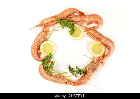 Photo aérienne de crevettes crues sur blanc, avec des tranches de persil et de citron, formant un cadre circulaire avec un espace de copie Banque D'Images