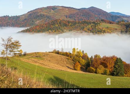 Nuages brumeux le matin dans la campagne de montagne d'automne.Ukraine, Carpathian Mountains, Transcarpathia. Banque D'Images
