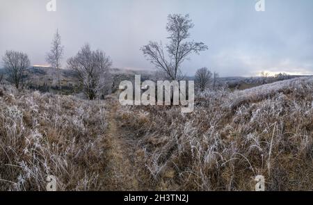 L'hiver approche.Scène pittoresque avant le lever du soleil au-dessus de la fin de l'automne campagne de montagne avec du givre sur les herbes, les arbres, les pentes.PE Banque D'Images