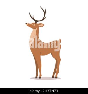 Joli cerf de sika noble.Renne avec bois sur fond blanc.Animal mammifère de ruminant.Illustration vectorielle de style dessin animé plat Illustration de Vecteur