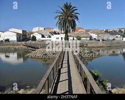 Jetée avec palmier à l'étang de pêche de la Coronada, Estrémadure - Espagne Banque D'Images