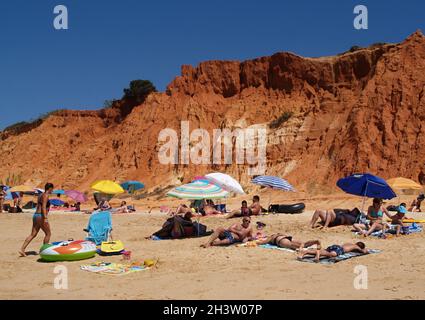 Plage de Falesia près d'Albufeira en été, Algarve - Portugal Banque D'Images