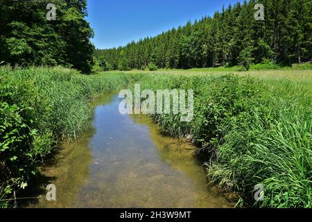 Vallée de Fehla sur les alpes souabes, allemagne Banque D'Images