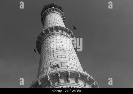 Le minaret du Taj Mahal avec deux oiseaux Banque D'Images