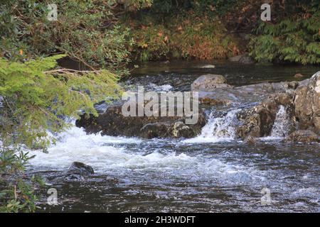 Betws-y-Coed, parc national de Snowdonia Banque D'Images