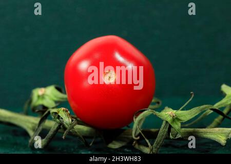 Une tomate rouge mûre avec une brindille se trouve sur un fond vert. Banque D'Images