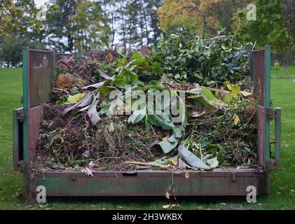 Déchets de jardin dans un grand récipient. Banque D'Images