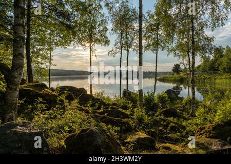 Paysage de rochers couverts de mousse et de bouleaux sur les rives d'un lac idyllique et calme, dans une lumière chaude du soir Banque D'Images