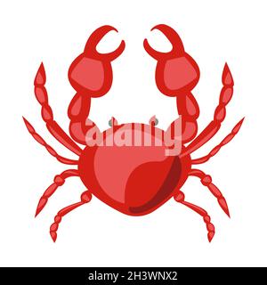Crabe frais réaliste sur fond blanc - Vector Banque D'Images