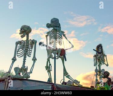 Bowling Harbour, Glasgow, Écosse, Royaume-Uni 30 octobre 2021.Le créateur jtom o.brien a tourné le barge où il vit dans un point d'accès créatif sur le Forth et clyde canal avec halloween approchant son équipe de squelette ont formé un groupe qu'il appelle les morts reconnaissants sur son bateau il renomme les sultans d'oscillation en l'honneur de direredresser l'avant, une marque knopfler.Il y a une petite grotte qui est son jardin crayeux en face de son bateau sur le chemin de remorquage.Crédit Gerard Ferry/Alay Live News Banque D'Images