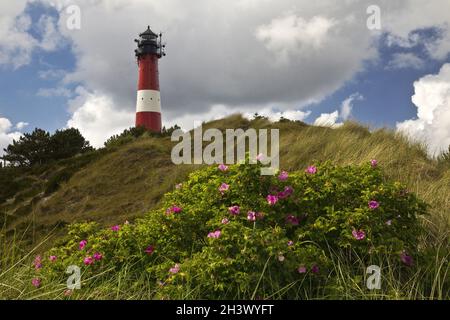 Phare, Hoernum, Sylt, Frise du Nord, Schleswig-Holstein, Allemagne, Europe Banque D'Images