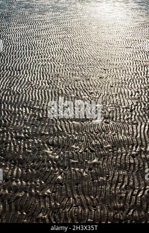 Arrière-plan des ondulations dans le sable sur la plage à marée basse Banque D'Images