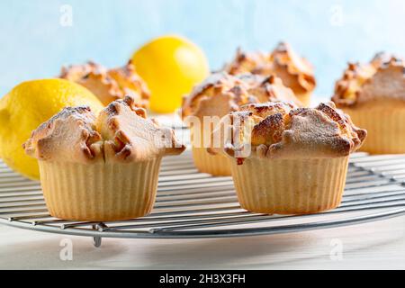 Les soffioni à la ricotta sont un dessert typique des Abruzzes. Banque D'Images