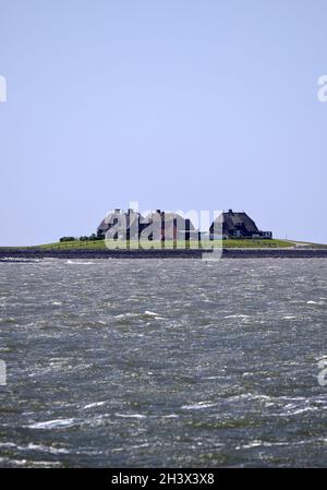 Mer du Nord avec Westerwarft sur Hallig Hooge, Frise du Nord, Schleswig-Holstein, Allemagne, Europe Banque D'Images