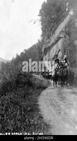 Les Kilties, une bande canadienne d'Écossais, remplissent deux stagecoaches sur la route Buller, à Westland, en Nouvelle-Zélande, au cours de leur tournée mondiale, 1909. Banque D'Images