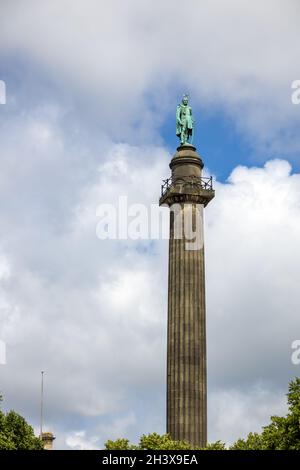 LIVERPOOL, Royaume-Uni - JUILLET 14 : Statue du duc de Wellington sur une colonne devant le St Georges Hall à Liverpool, Angleterre, Royaume-Uni, le mois de juillet Banque D'Images