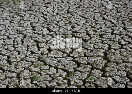 Fond fissuré d'un lac séché en Ukraine.Le niveau d'eau a diminué considérablement au cours des dernières années.En conséquence, de nombreux étangs ont disparu. Banque D'Images