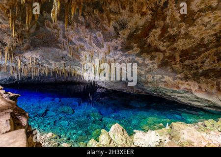 Abismo anhuma, grotte avec lac souterrain, parc national de Bonito, Mato Grosso do Sul, Brésil Banque D'Images