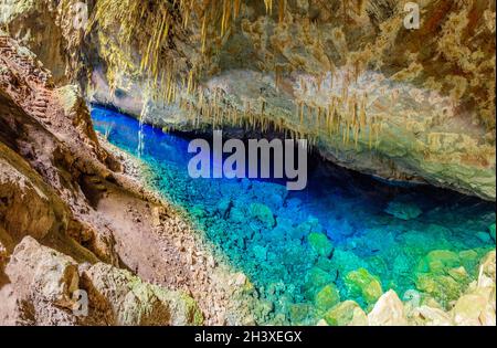 Abismo anhuma, grotte avec lac souterrain, parc national de Bonito, Mato Grosso do Sul, Brésil Banque D'Images