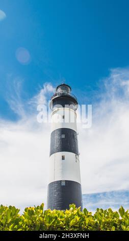 Le noir et blanc phare de Chassiron en France avec vignoble dans