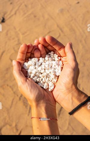 Mains tenant des petits débris de corail dans la plage de Popcorn près de la ville de Corralejo, Espagne Banque D'Images