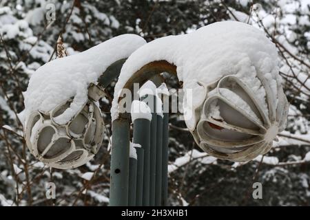 Feu de jardin avec de la neige. Banque D'Images