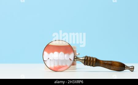 Modèle d'une mâchoire humaine à dents blanches et d'une loupe en bois sur une table blanche.Diagnostic précoce, soins buccaux Banque D'Images