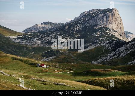 Une maison avec pâturage pour moutons sur fond de montagne rocheuse au Monténégro. Banque D'Images