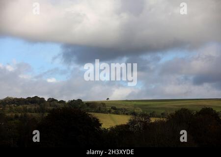 Un arbre solitaire, isolé, photographié au loin, entouré par le magnifique parc national de South Downs, West Sussex, Royaume-Uni. Banque D'Images