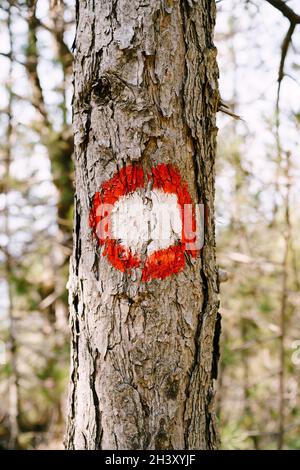 Panneau de randonnée à point rouge sur un arbre. Cercle rouge avec un point blanc. Indications de direction du sentier de randonnée et de sa difficulté. Banque D'Images