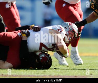 Tempe, Arizona, États-Unis.30 octobre 2021.La course de retour Max Borghi (21) des Cougars de l'État de Washington est abordée entre les Cougars de l'État de Washington et les Devils du soleil de l'État d'Arizona au stade Sun Devil de Tempe, Arizona.Michael Cazares/Cal Sport Media.Crédit : csm/Alay Live News Banque D'Images