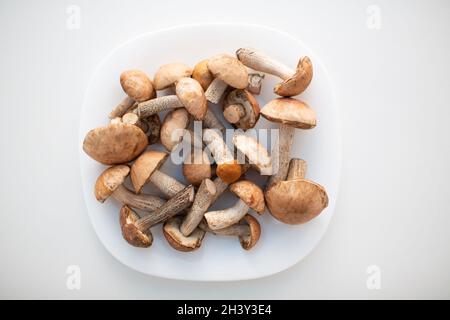 Champignons boletus frais crus dans une assiette blanche sur fond blanc Banque D'Images