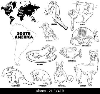 Page de livre de coloriage de l'ensemble d'animaux sud-américains de dessin animé Banque D'Images