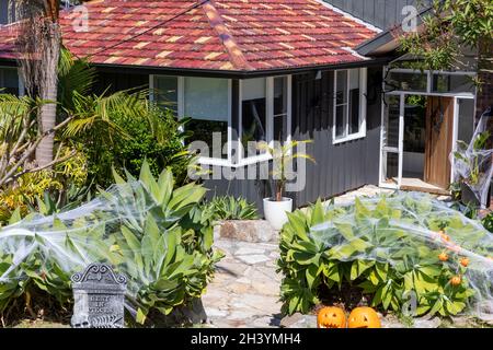 Halloween en Australie des araignées et des citrouilles décorent un jardin dans le nord de Sydney pour halloween, en Australie Banque D'Images